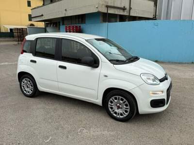 Fiat Panda Easy Bianco usata SAN MINIATO