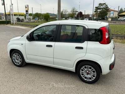 Fiat Panda Easy Bianco usata SAN MINIATO