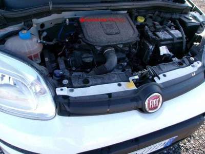 Fiat Panda Panda III 2021 1.0 firefly hybrid s Bianco usata Roma
