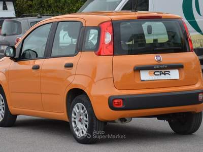 Fiat Panda Easy Arancione usata Pisa