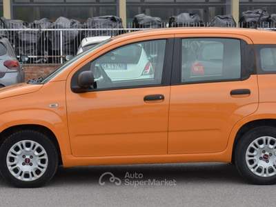 Fiat Panda Easy Arancione usata Pisa