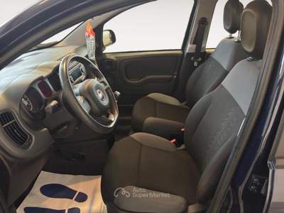 Fiat Panda 1.0 HYBRID CITY LIFE usata Rovigo