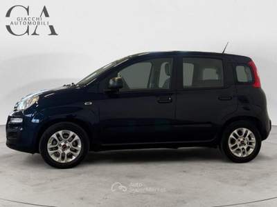 Fiat Panda 1.0 HYBRID CITY LIFE usata Rovigo