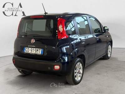 Fiat Panda 1.0 HYBRID CITY LIFE usata Rovigo