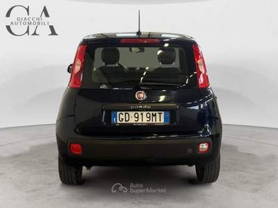 Fiat Panda 1.0 HYBRID CITY LIFE usata Rovigo