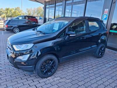Ford EcoSport Ecoblue 125 CV Start&Stop AWD Bu usata Borgo Maggiore