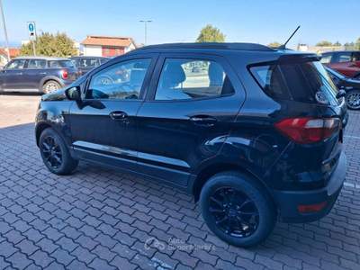 Ford EcoSport Ecoblue 125 CV Start&Stop AWD Bu usata Borgo Maggiore