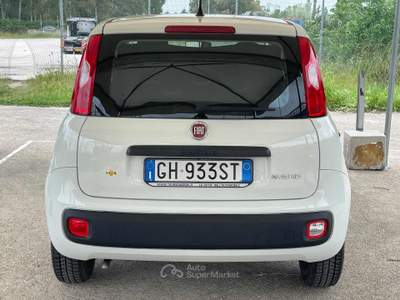 Fiat Panda 1.0 FireFly S&S Hybrid Euro 6D Bianco usata Fiumicino