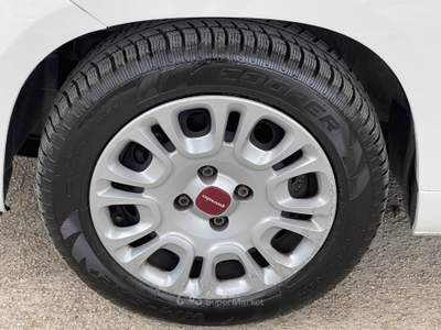 Fiat Panda 1.0 FireFly S&S Hybrid Euro 6D Bianco usata Fiumicino