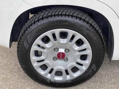 Fiat Panda 1.0 FireFly S&S Hybrid Euro 6D Bianco usata Fiumicino