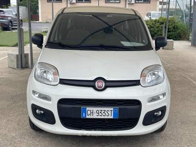 Fiat Panda 1.0 FireFly S&S Hybrid Euro 6D Bianco usata Fiumicino