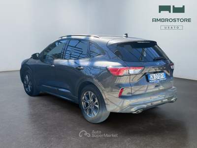 Ford Kuga  - kuga 2.5 full hybrid st-line 2wd 190cv cvt Grigio usata Segrate