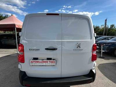 Peugeot Expert BHDI 100 CV PRO-LONG ALLESTITO FRESCO Bianco usata Villa Santa Lucia