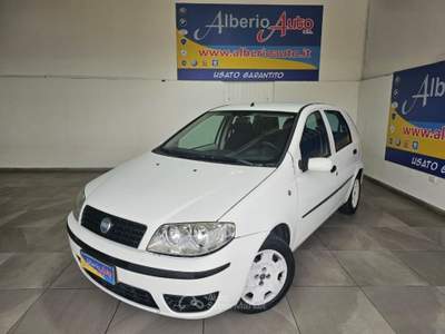 Fiat Punto 1.3 Multijet 16V 5 porte Active Bianco usata ADRANO
