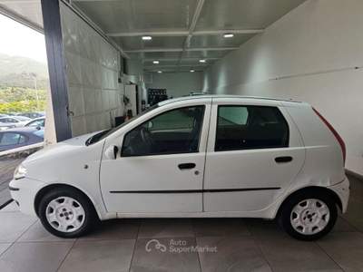 Fiat Punto 1.3 Multijet 16V 5 porte Active Bianco usata ADRANO