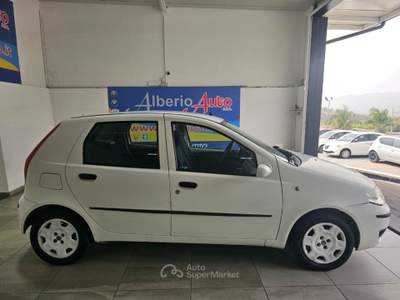 Fiat Punto 1.3 Multijet 16V 5 porte Active Bianco usata ADRANO