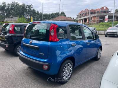 Fiat Panda 1.0 FireFly S&S Hybrid ICON KM0 PROMO Blu/Azzurro usata Arsago Seprio