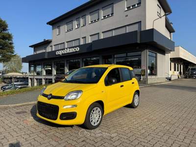 Fiat Panda 1.0 FireFly S&S Hybrid ICON+5posti KM0 PROMO Giallo usata Arsago Seprio