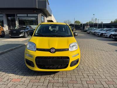 Fiat Panda 1.0 FireFly S&S Hybrid ICON+5posti KM0 PROMO Giallo usata Arsago Seprio