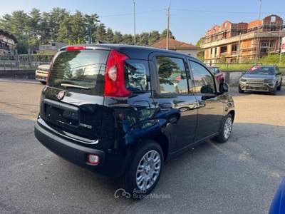 Fiat Panda 1.0 FireFly S&S Hybrid ICON KM0 PROMO Nero usata Arsago Seprio