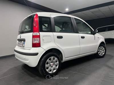 Fiat Panda 1.1  km 118.000 MOLTO BELLA Bianco usata Atena lucana