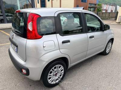 Fiat Panda 1.2 Easy 69CV E6 ***OK NEOPATENTATI*** Grigio usata Iseo