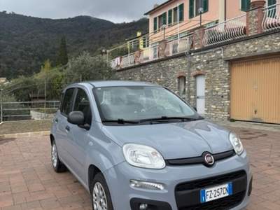 Fiat Panda Fiat Panda 80000 km 2019 Grigio usata Recco
