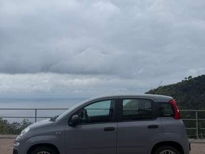 Fiat Panda Fiat Panda 80000 km 2019 Grigio usata Recco