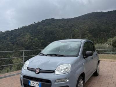 Fiat Panda Fiat Panda 80000 km 2019 Grigio usata Recco