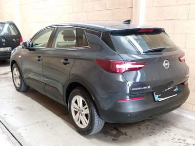 Opel Grandland Opel Grandland X 1.5 131 cv Blu/Azzurro usata Bari