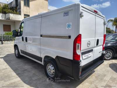 Opel Movano Movano 33 BlueHDi 140 PC-TN Furgone CELLA FRIGO Bianco usata Somma Vesuviana