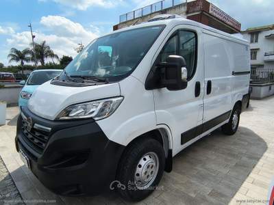 Opel Movano Movano 33 BlueHDi 140 PC-TN Furgone CELLA FRIGO Bianco usata Somma Vesuviana