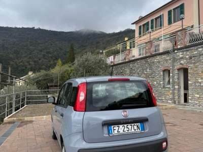 Fiat Panda Fiat Panda 80000 km Grigio usata Varano de' Melegari