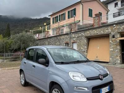 Fiat Panda Fiat Panda 80000 km Grigio usata Varano de' Melegari