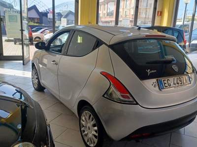 Lancia Ypsilon NEOPATENATI DISTRIBUZIONE FATTA Argento usata Follonica