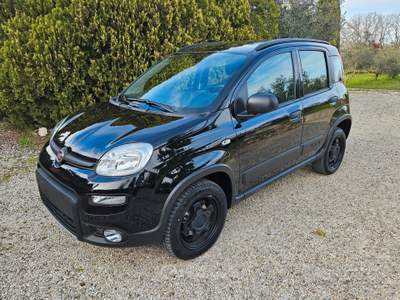 Fiat Panda Wild usata Perugia