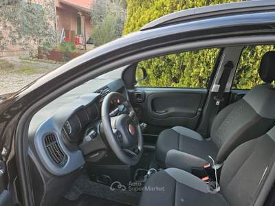 Fiat Panda Wild usata Perugia