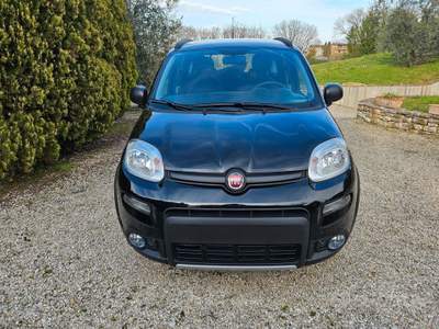 Fiat Panda Wild usata Perugia