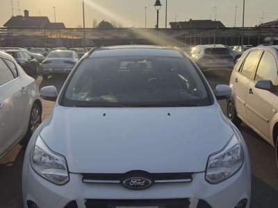 Ford Focus 1.6 TDCi 115 CV SW Bianco usata Pieve di Cento