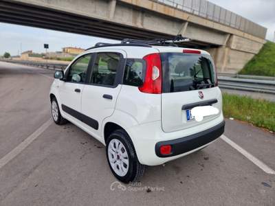 Fiat Panda Turbo Natural Power Lounge Bianco usata Gravina in Puglia