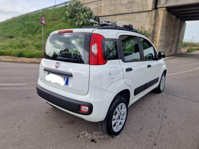 Fiat Panda Turbo Natural Power Lounge Bianco usata Gravina in Puglia