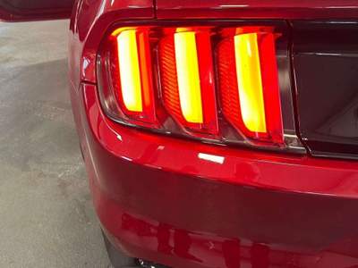 Ford Mustang Fastback 2.3 ecoboost 314cv auto usata Goito