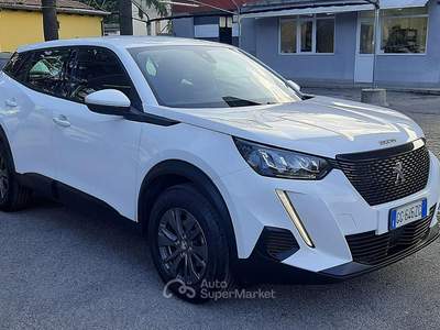 Peugeot 2008 1.2 Puretech Active Pack Bianco usata Padova