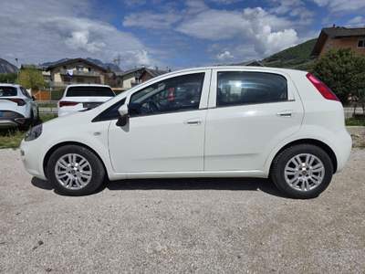 Fiat Punto 1.3 MJT II S&S 95 CV 5 porte Street Bianco usata Lavis