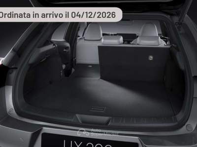 Lexus UX 300h F-Design Bitone Argento usata Pieve di Cento