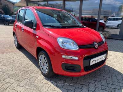 Fiat Panda 1.2 Easy PAGA COME VUOI Rosso usata Boves