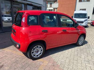 Fiat Panda 1.2 Easy PAGA COME VUOI Rosso usata Boves
