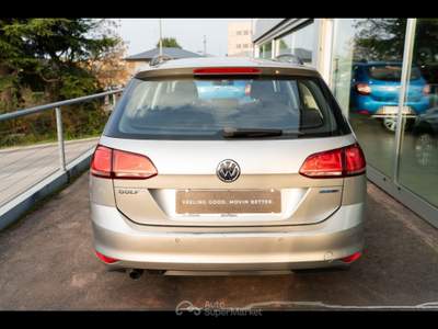 Volkswagen Golf  - golf variant 1.6 tdi 110 cv executive bluemo Grigio usata Treviso