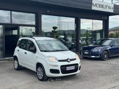 Fiat Panda Non fumatore usata Quarrata