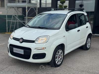 Fiat Panda Non fumatore usata Quarrata